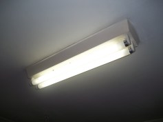 Fluorescentes de 20 W.