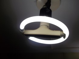 Lâmpada Fluorescente Circular.