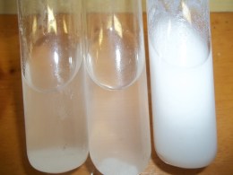 Teste com Cloreto de Cálcio.