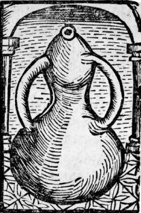 Um Pelicano Alquímico.