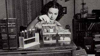 Hedy Lamarr, Atriz e Cientista