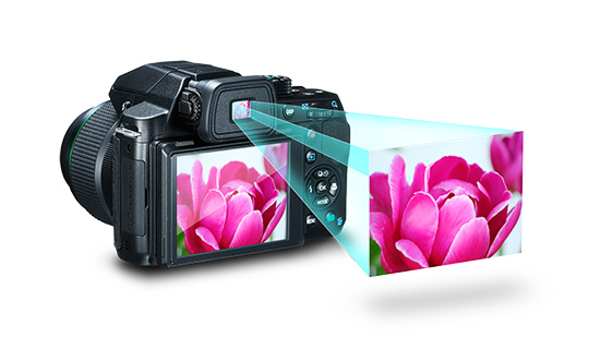 Imagem, Mostrando o Visor Ótico e Também, o Display LCD em Uma câmera Digital.