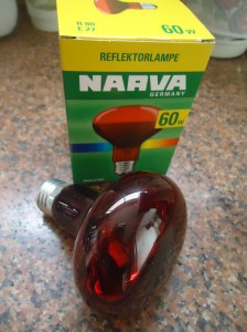 Lâmpada Incandescente Refletora, de Luz Vermelha e Infravermelha. Marca NARVA, Alemanha. 230-240 V, 50 W.