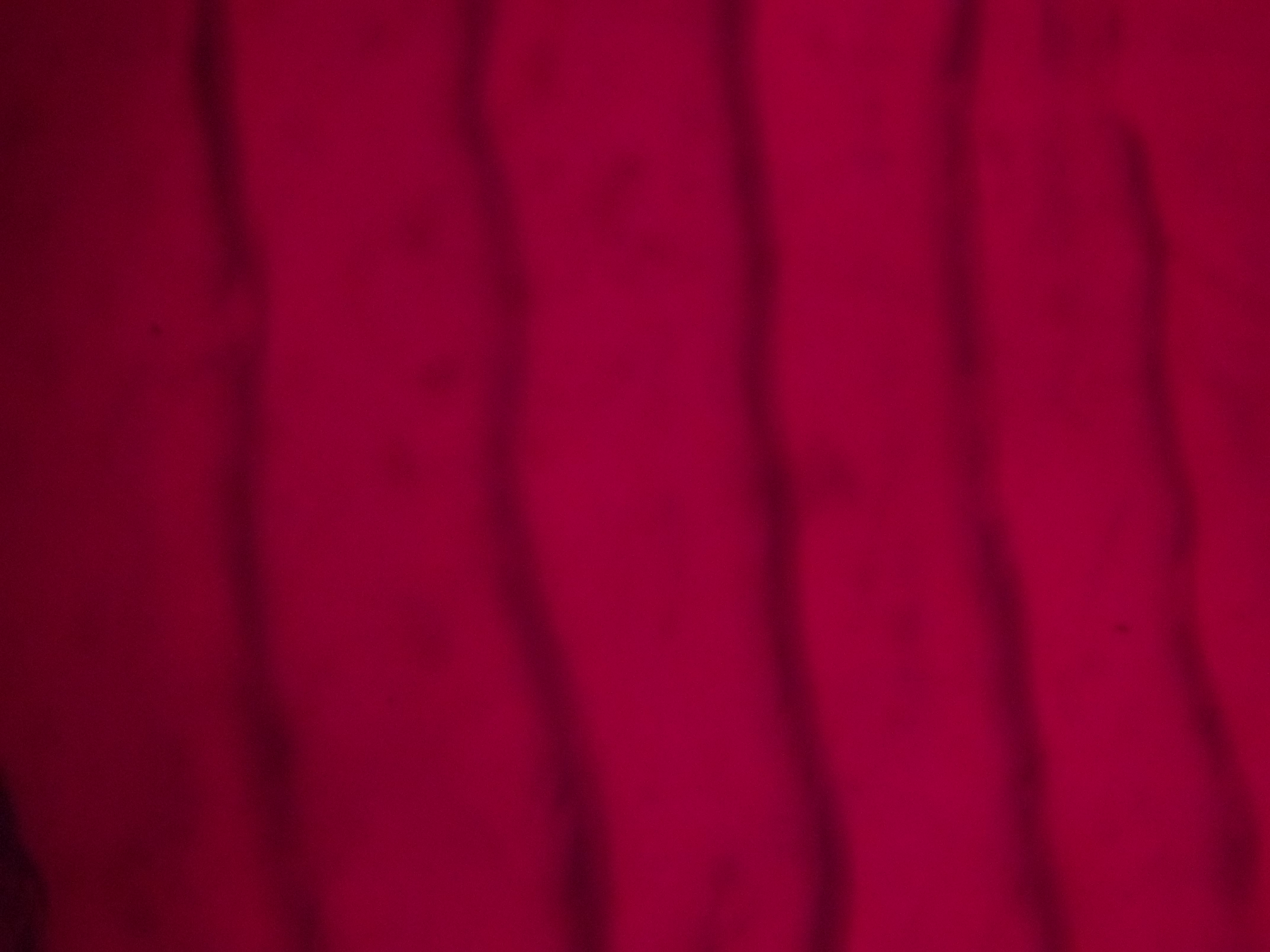 Lâmina Comercial de Escama de Peixe Dourado, Corada com Fucsina. Ocular de 16X, Objetiva de 40X.