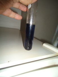 (FEDERMAN NETO, A.) Reação de Berthelot. Teste em Junho de 2022.