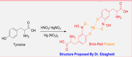 Estrutura do Complexo de Mercúrio e Tirosina, Formado na Reação de Millon.
