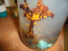 Outra Foto, Detalhada do Jardim Químico.