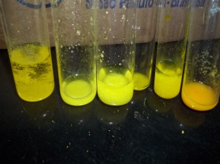 Formação de Picratos